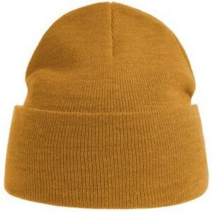 Atlantis Unisex Adult Pure Recycled Beanie / Mustard Yellow